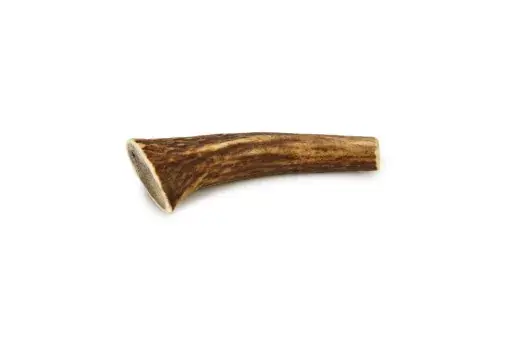 Beeztees Hertengewei - Hondensnack - 1st - S - ca 60 gram Premium
